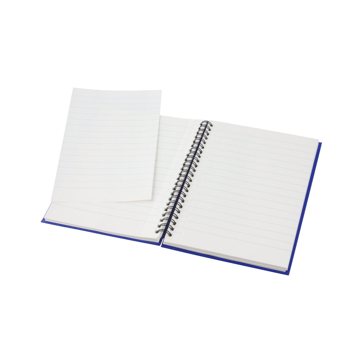 Eko Gulliver - notes AP791047-06