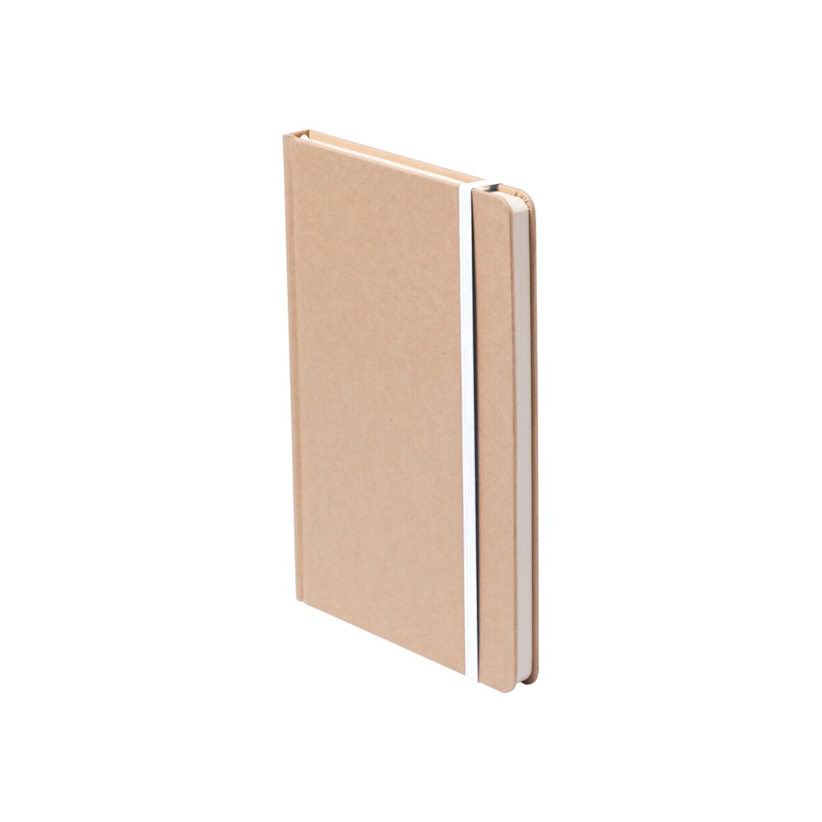 Eko Raimok - notes AP781196-01