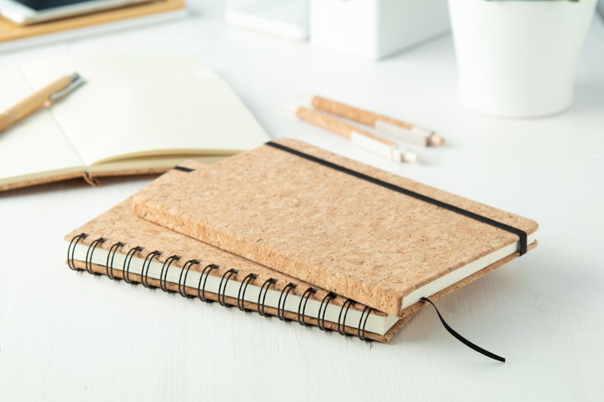 Eko Xiankal - notes AP721717