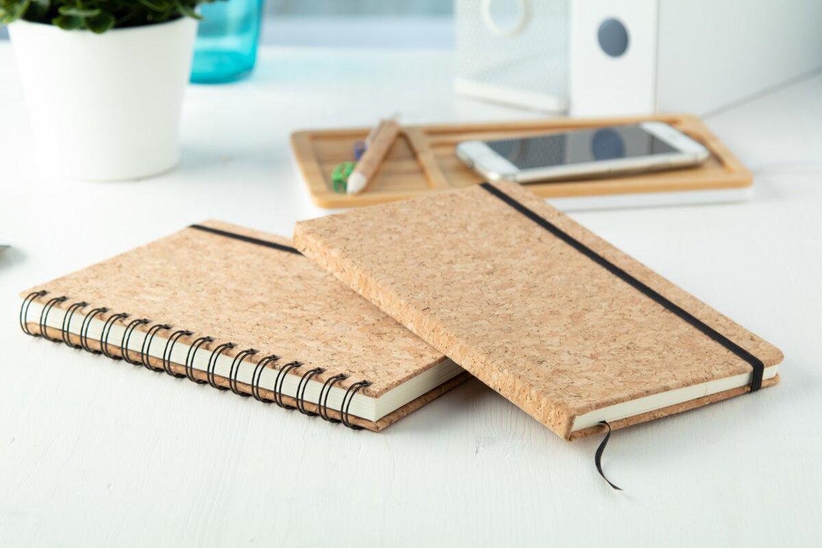 Eko Xiankal - notes AP721717