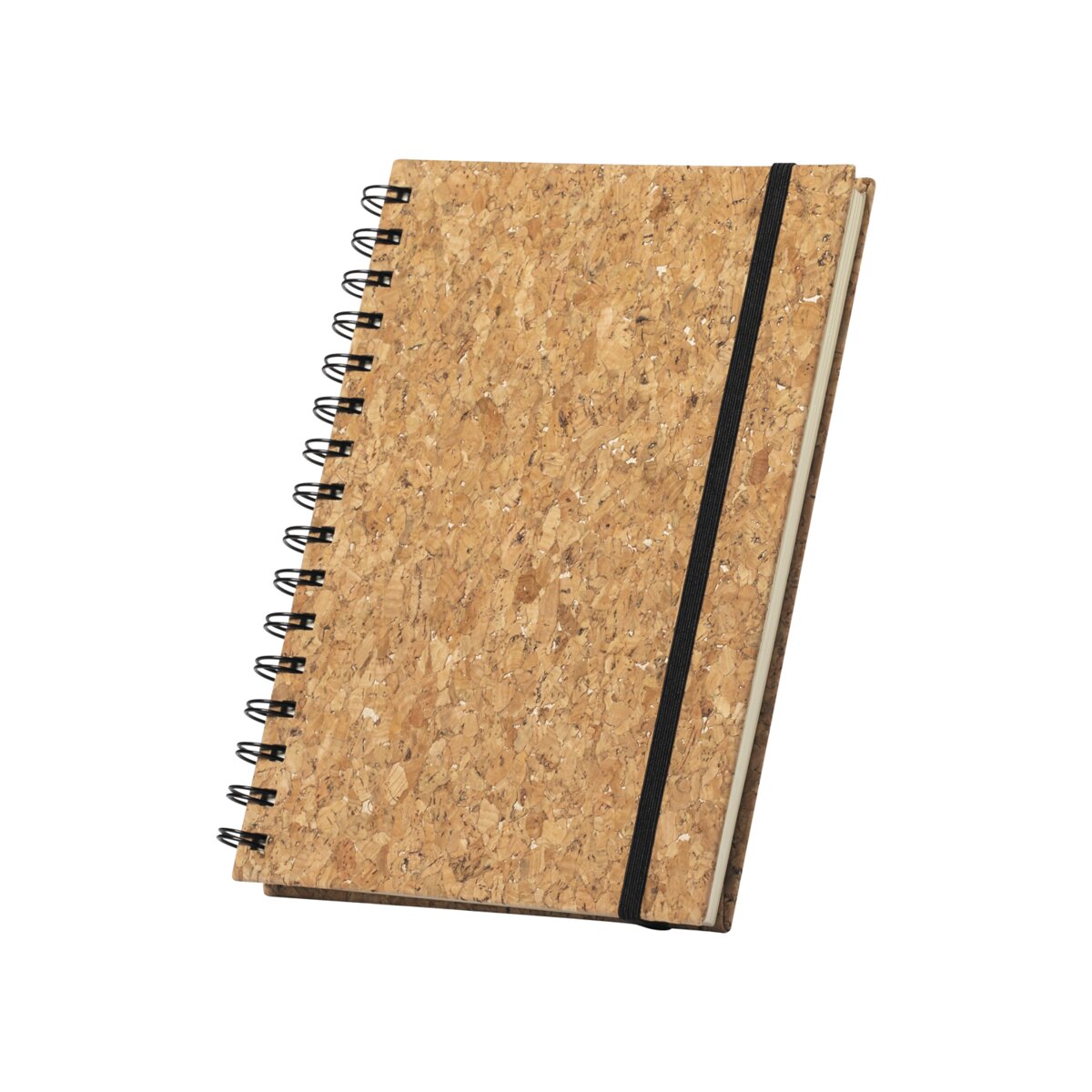 Eko Xiankal - notes AP721717