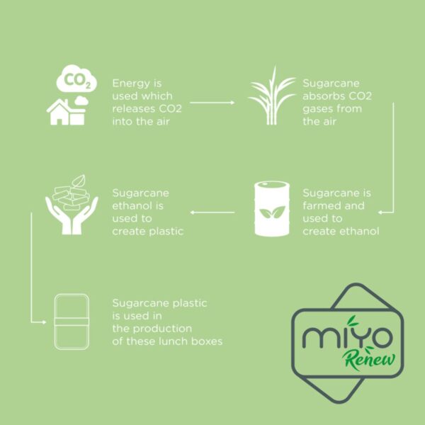 MIYO Renew dwuczęściowy lunchbox