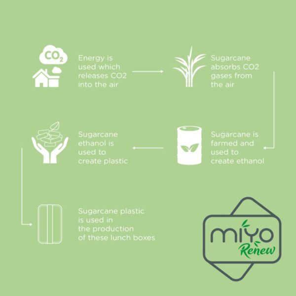 MIYO Renew jednoczęściowy lunchbox