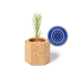Eko Korkowa doniczka, nasiona sosny V0915-00_0