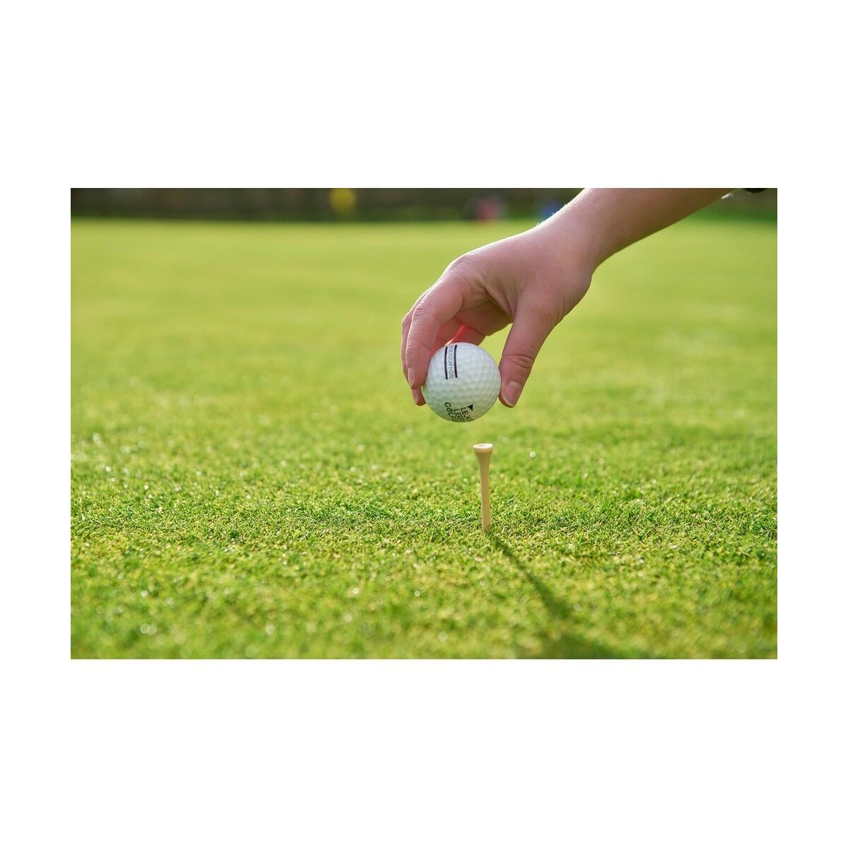 Eko Zestaw drewnianych akcesoriów golfowych VA881-16_ATM03