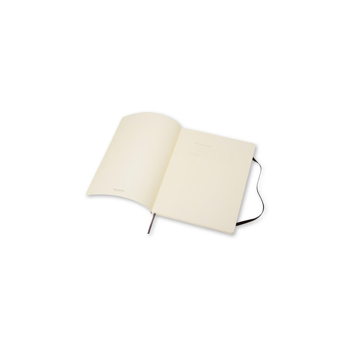 Eko MOLESKINE Notatnik ok. B5 VM402-03_AAA05